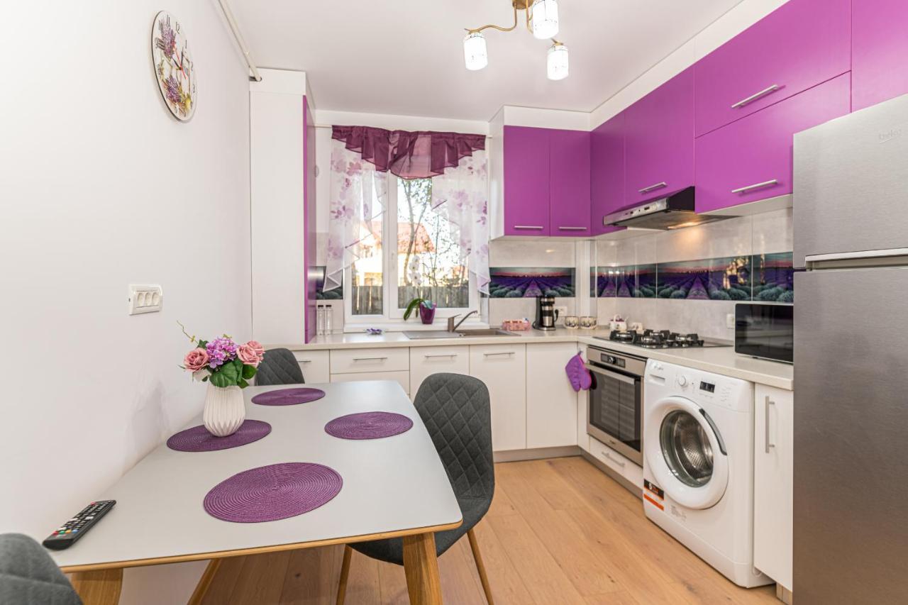 Apartamente Lavender Брашов Экстерьер фото